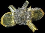Twinned Selenite Crystals (Fluorescent) - Red River Floodway #63366-1